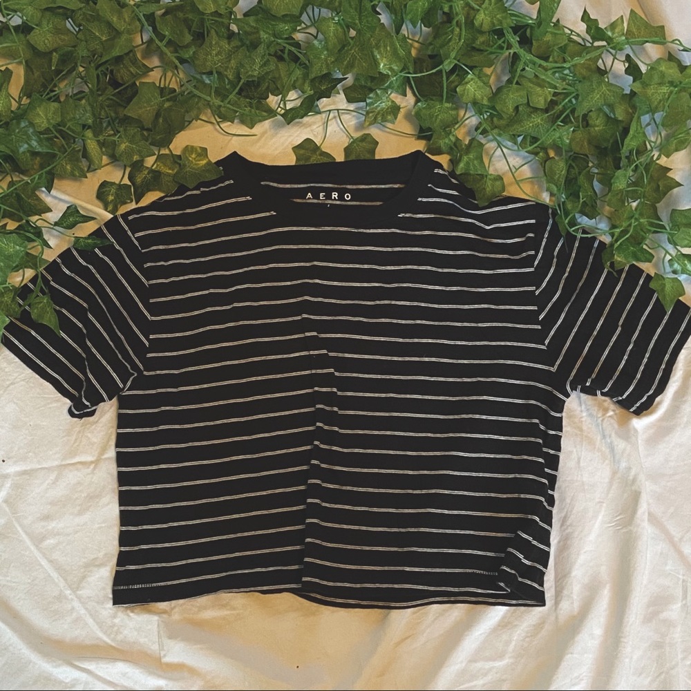 Aero Cropped Stripe Tee